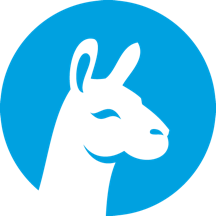 Fflying Llama